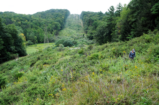 botanical survey in a powerline ROW